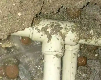 惠农测漏水多少钱