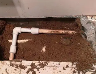 惠农测漏水哪家好