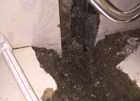 惠农卫生间测漏水哪家好