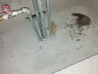 惠农卫生间测漏水价格明细