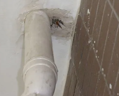 惠农漏水检测哪家好